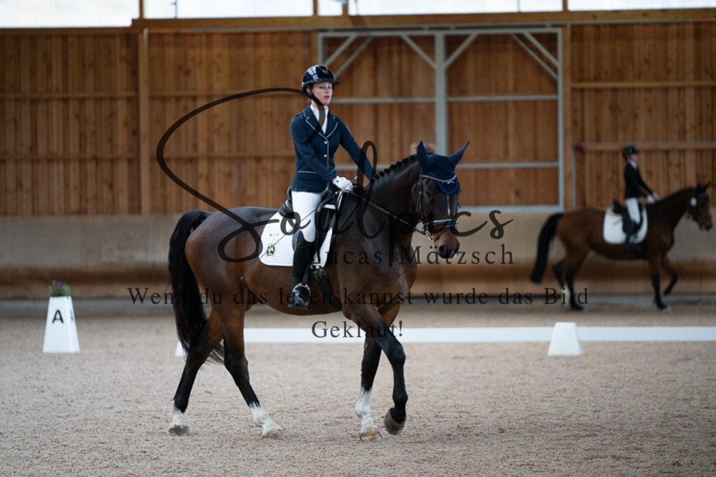 A7V02381 | Pferdefotograf