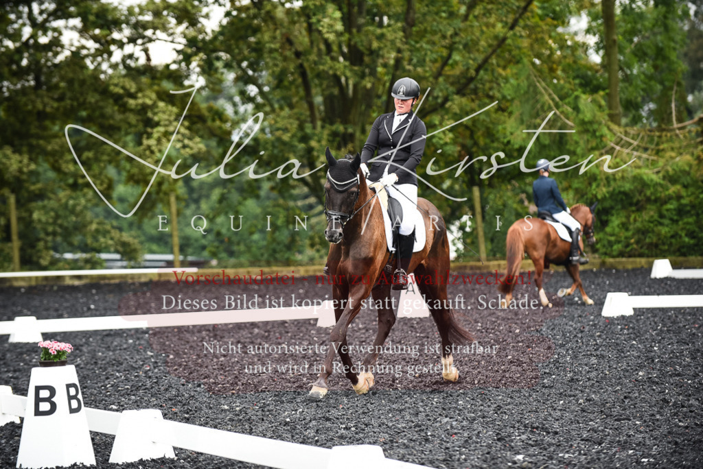 DSC_2820 | Pferde- und Turnierfotografie in Westsachsen. Pferdeportraits, Auftragszeichnungen und intuitive Kunst.