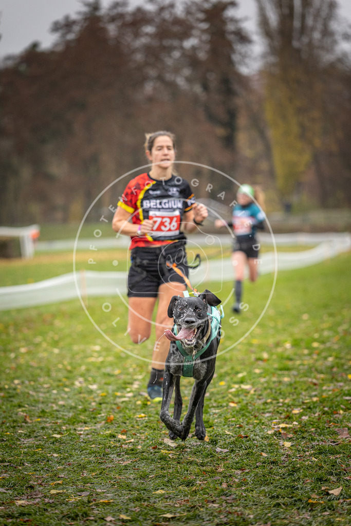CaniXpix_DV3A9222 | Hundefotografie, Tierfotograf, Pfotenfotografie, Fotoshooting Hund, Hunde Portrait, Hundesport, Hundeportraits, Heideshooting, Hunde, Sportfotograf, Hundefotograf, Turnierhundsport, THS,  - Realisiert mit Pictrs.com