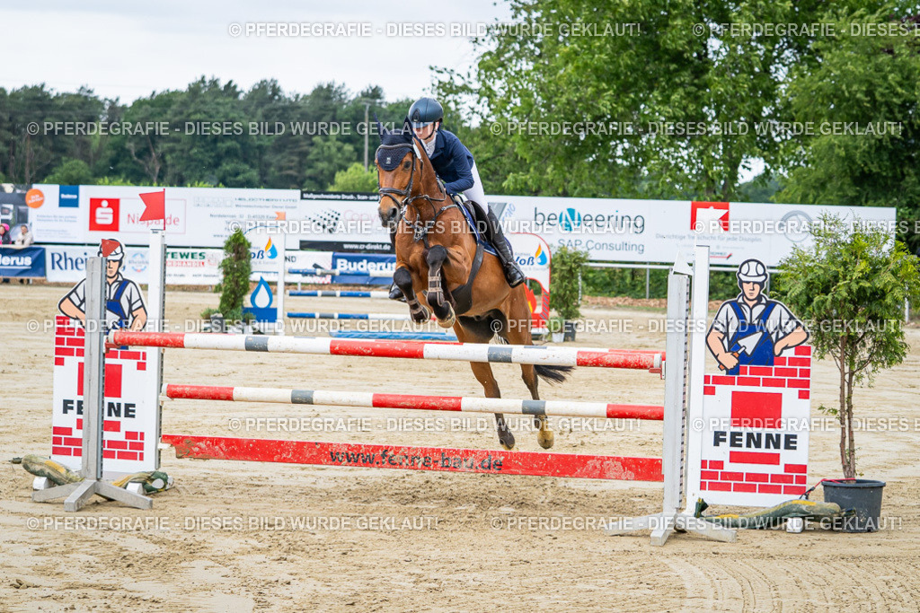 DSC04094 | Pferdegrafie