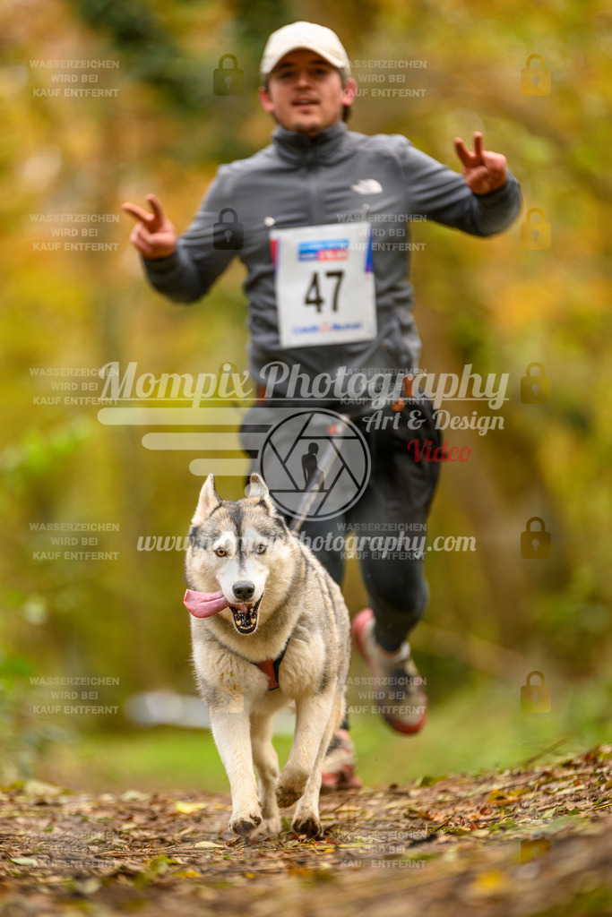 MompixPhotography_Bischwiller24_SA_Canicross-44 | PayLife