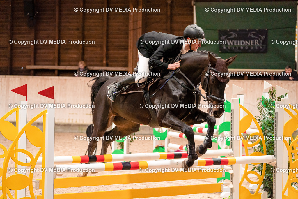 Springen Tag 1-266 | dv-media-shop - Realisiert mit Pictrs.com