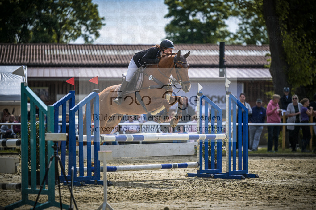 DOS_0558 | Entdecke hochwertige Reitturnierfotos von Foto Oger. Professionell, emotional und authentisch – jetzt Lieblingsmomente im Shop bestellen.Deutschlandweite Turnierfotografie. - Realisiert mit Pictrs.com