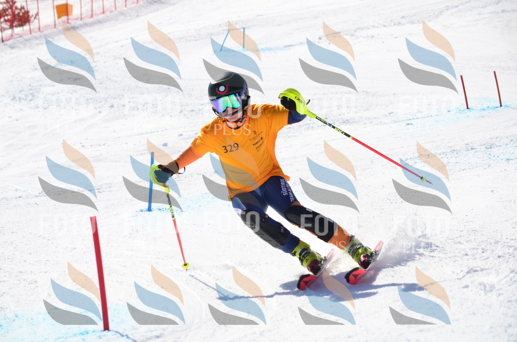 C9664 | holidayphoto