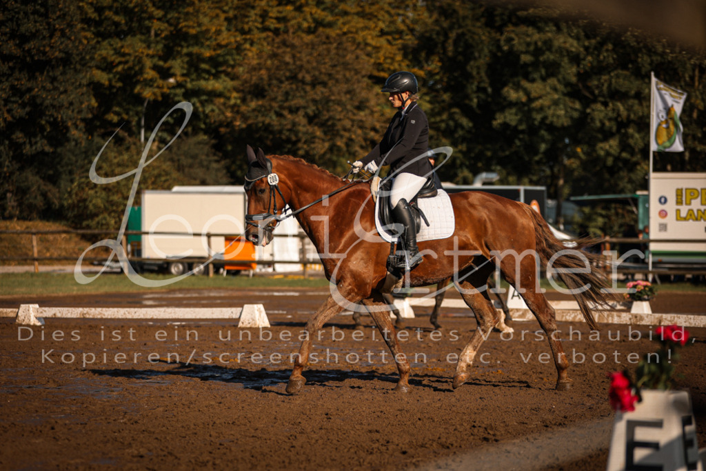 13.SoDrA100314 | Leoni Ertmer Photography - Realisiert mit Pictrs.com