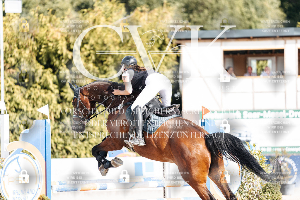 CK909145 | Turnierfotografie Pferdefotografie Trier Rheinland-Pfalz Pferdesport Reitsport Tierfotografie Sportfotografie Pferdevideo Pferdevideografie Equestrianvideography equestrianphotography  - Realisiert mit Pictrs.com
