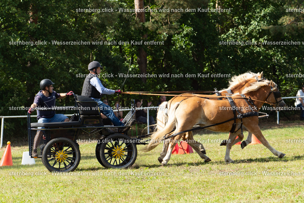 2026-08-29_14-21-24_sternberg.click_WBO-Diera | sternberg.click - Realisiert mit Pictrs.com