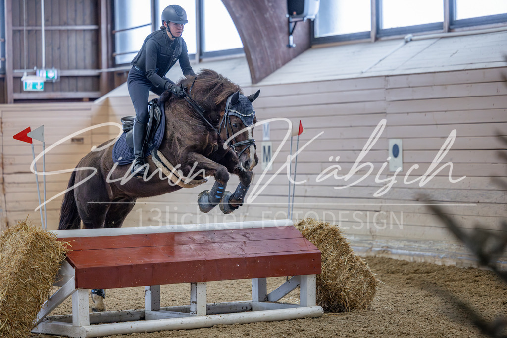 20260221-_3LI8675 | Tierfotografie Pferde, Hunde, Katzen, Haustiere.
Turnierfotografie Reitturniere, Reiten, Springreiten, Dressur in Hanau, dem Main-Kinzig-Kreis und dem Rhein-Main- Gebiet um Frankfurt