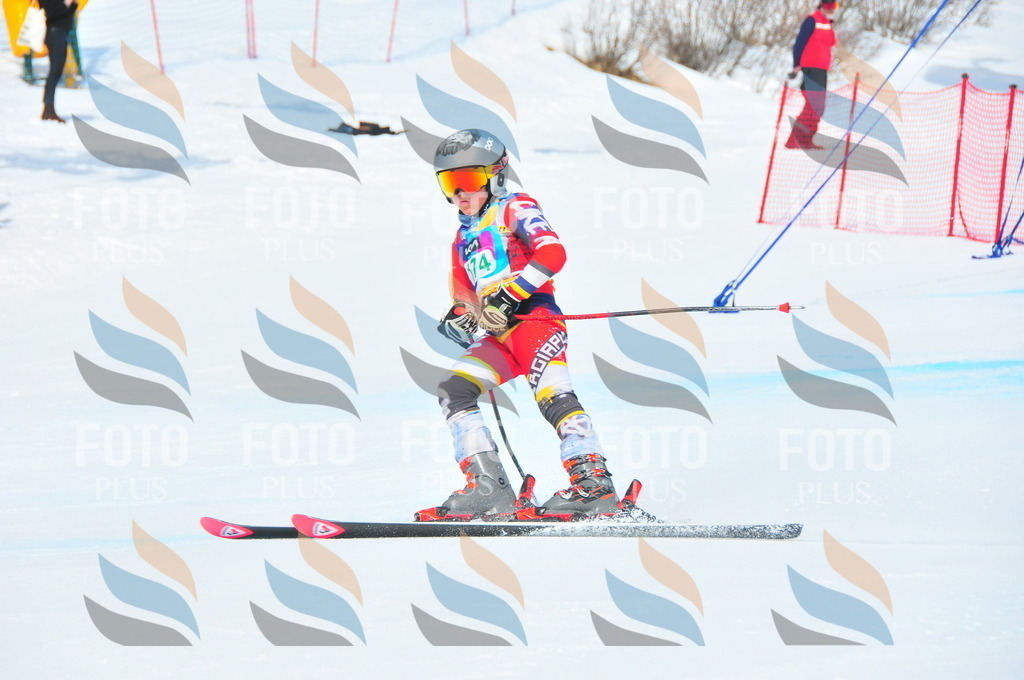 DSC_1582 | holidayphoto