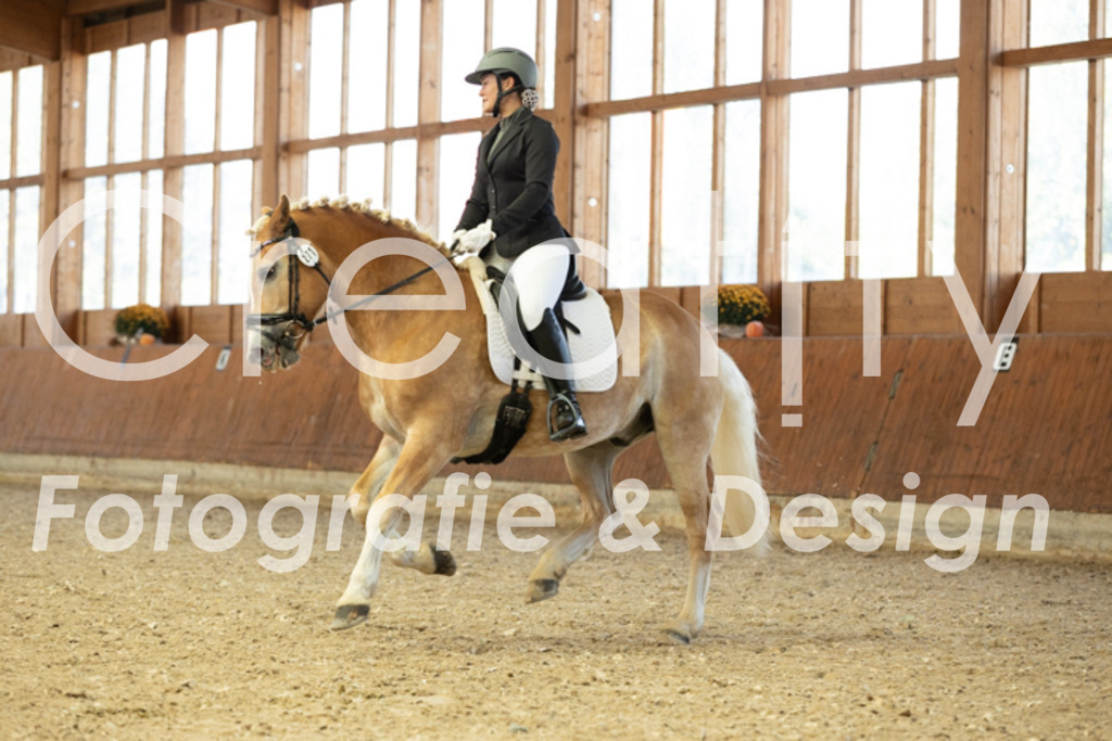 IMG_5323 | Creatify Fotografie