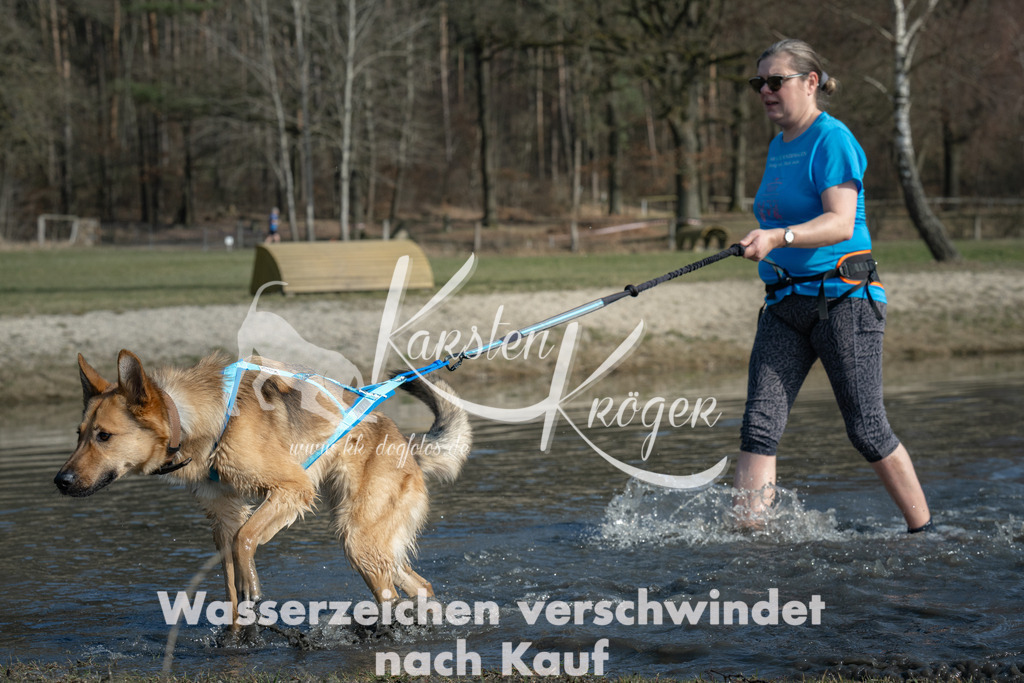 1341_ZZ97764 | kk-dogfotos