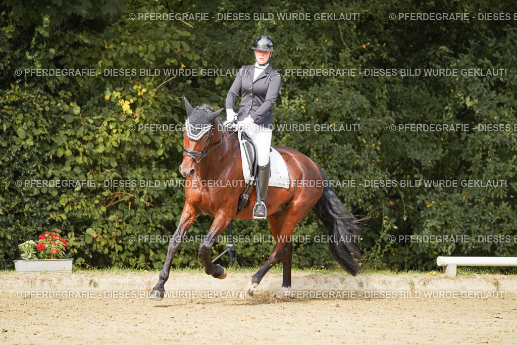 DSC03511 | Pferdegrafie