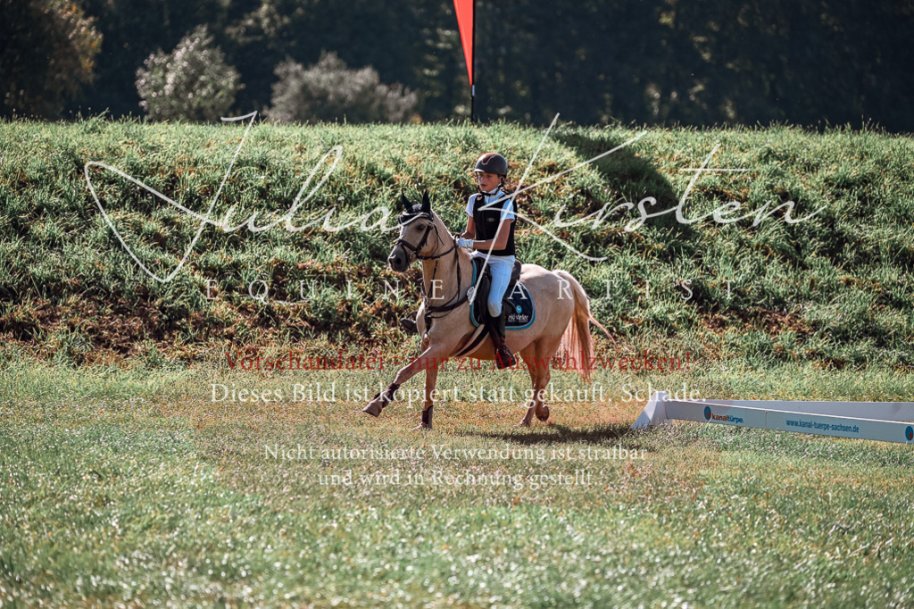 DSC_1048 | Pferde- und Turnierfotografie in Westsachsen. Pferdeportraits, Auftragszeichnungen und intuitive Kunst.