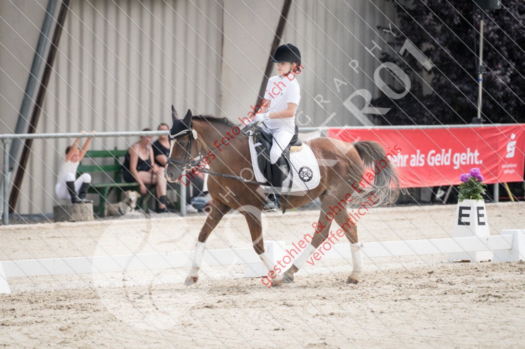 Z62_3591 | Sport-, Event- und Tierfotos in Profiqualität. Einfach auswählen, bestellen und herunterladen. Dein Moment – perfekt festgehalten.