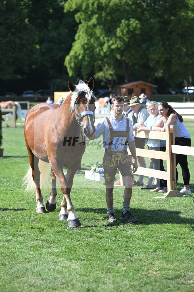 Kat-Nr. 12 Paris_Seebacher_20230171 | hf-fotografie - Realisiert mit Pictrs.com