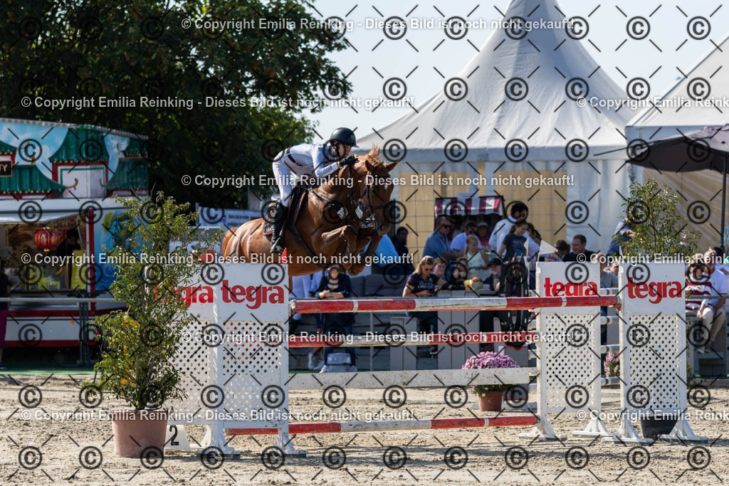 CL5A9994 | Emilia Reinking Fotografie - Realisiert mit Pictrs.com