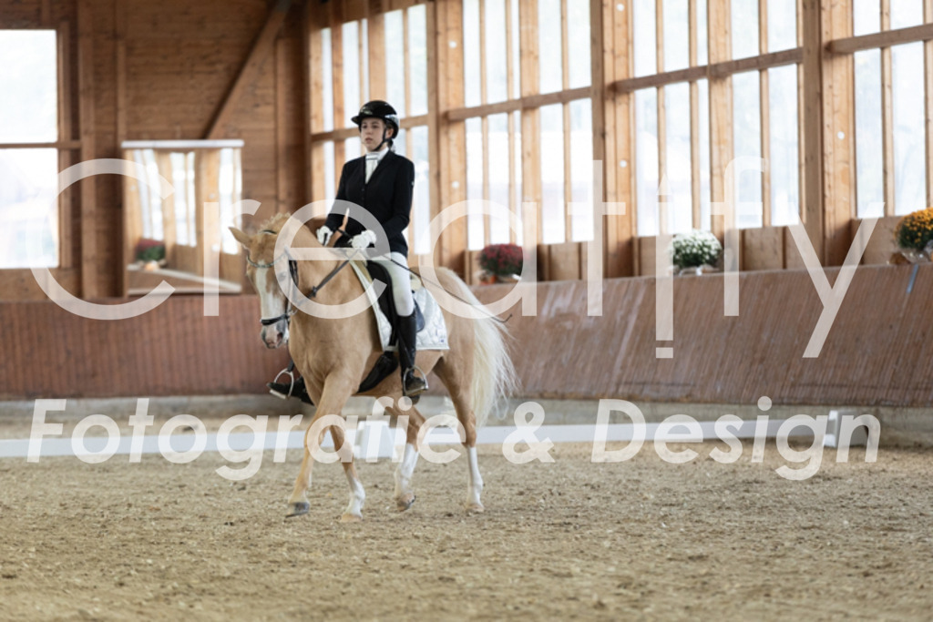 IMG_1294 | Creatify Fotografie