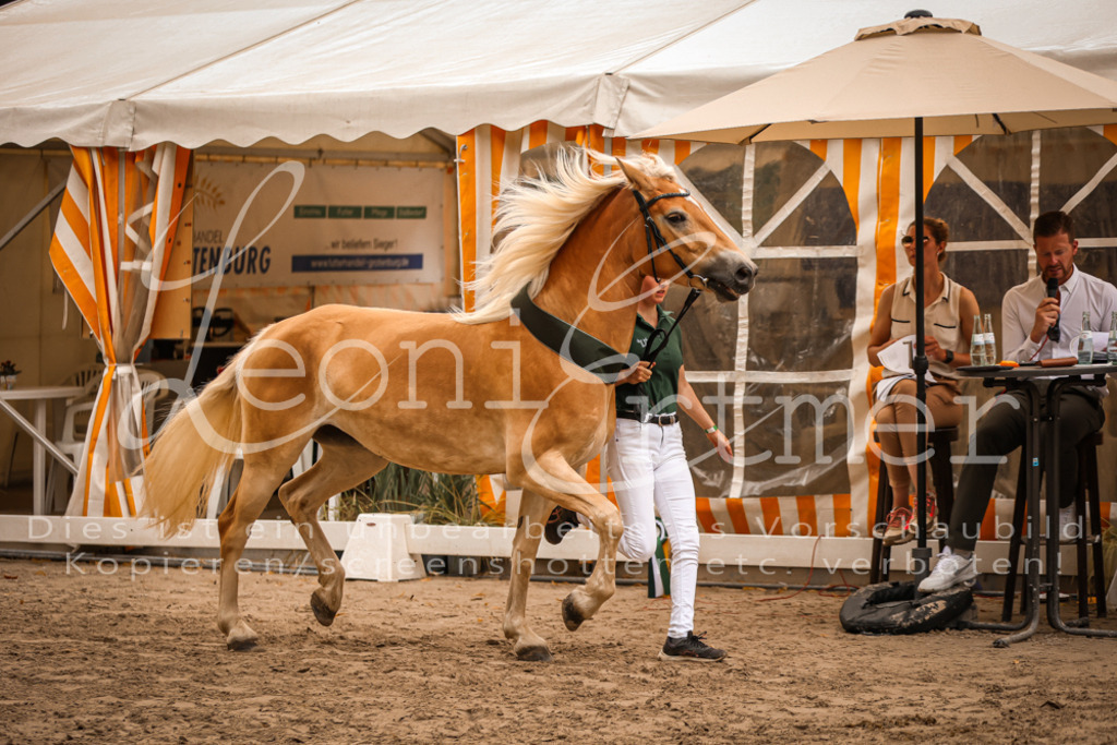 06.So00161 | Leoni Ertmer Photography - Realisiert mit Pictrs.com