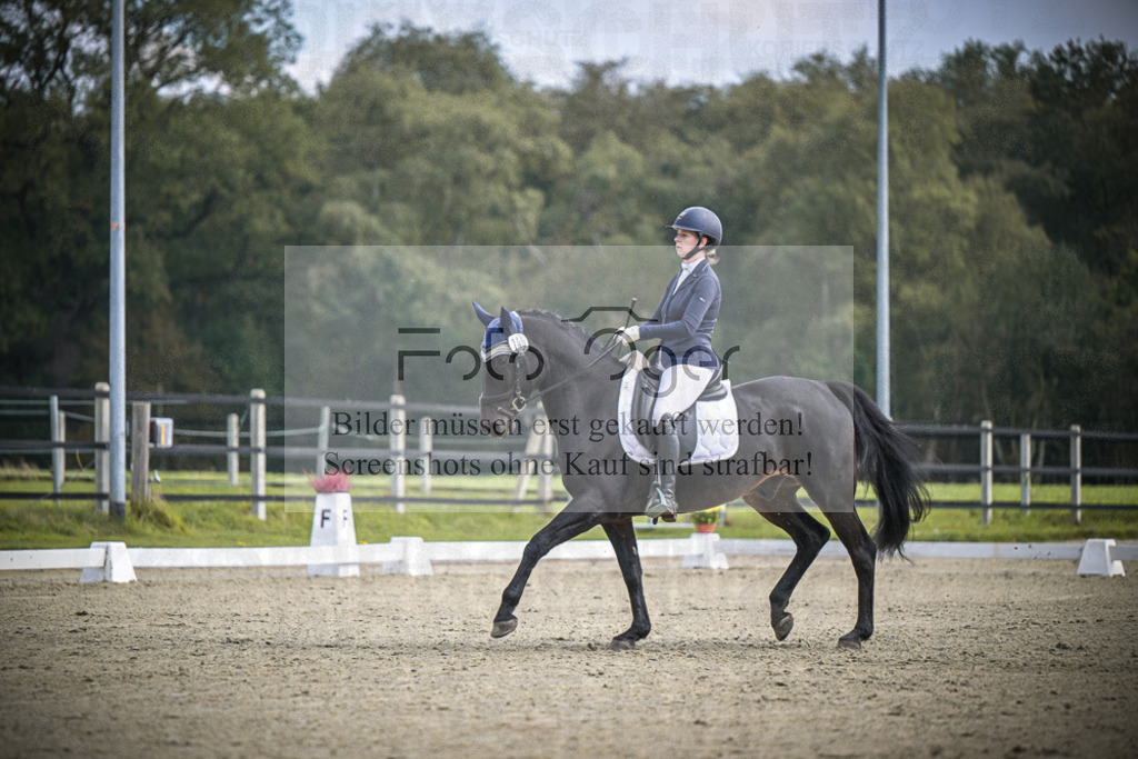 DOS_B612 | Entdecke hochwertige Reitturnierfotos von Foto Oger. Professionell, emotional und authentisch – jetzt Lieblingsmomente im Shop bestellen.Deutschlandweite Turnierfotografie. - Realisiert mit Pictrs.com