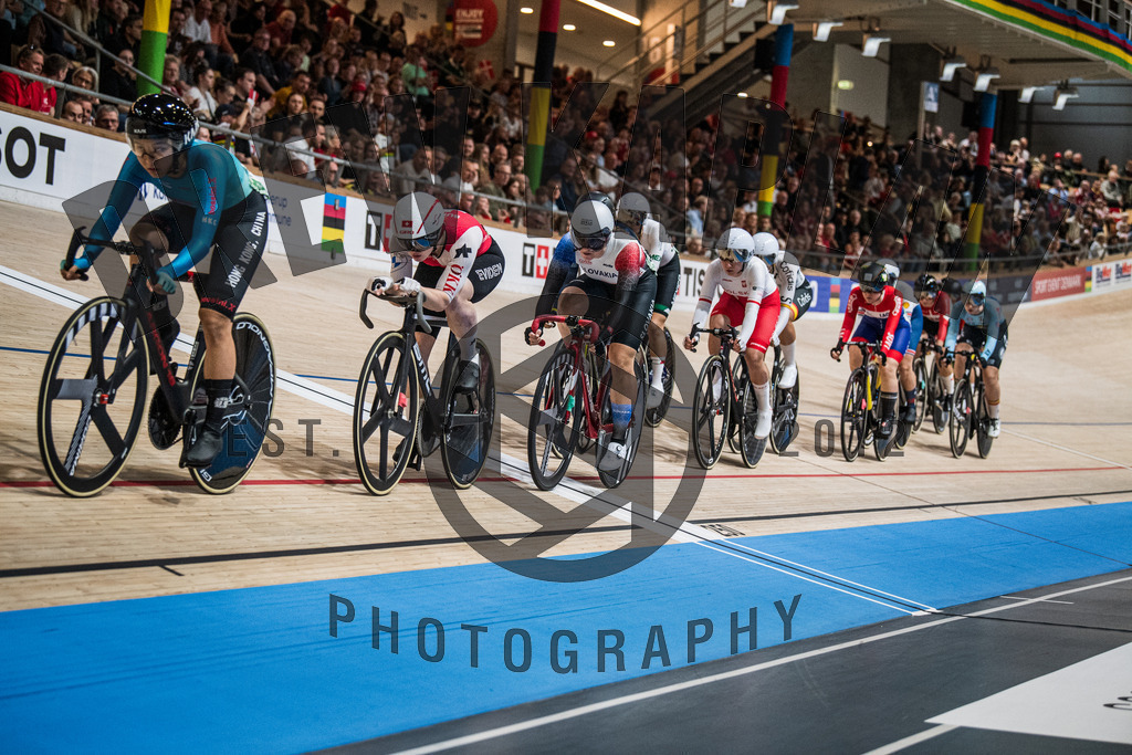 DKP-1901 | Drew Kaplan Photography