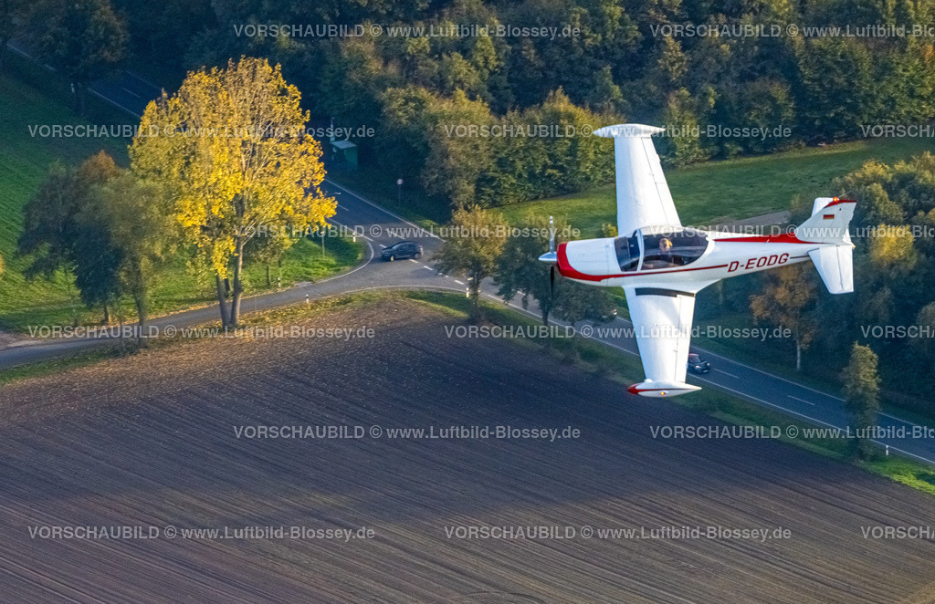 Hamm221006408marchetti_Thorsten_Wesselmann | Luftbild, Flugzeug in der Luft, Flugzeug D-EODG, Aircraft D-EODG, SIAI-Marchetti SF-260, einmotoriges Leichtflugzeug, Bäume in Herbstfarben, Heessen, Hamm, Ruhrgebiet, Nordrhein-Westfalen, Deutschland