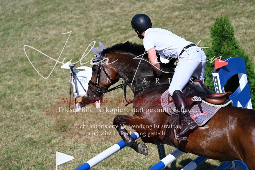 DSC_1940 | Pferde- und Turnierfotografie in Westsachsen. Pferdeportraits, Auftragszeichnungen und intuitive Kunst.