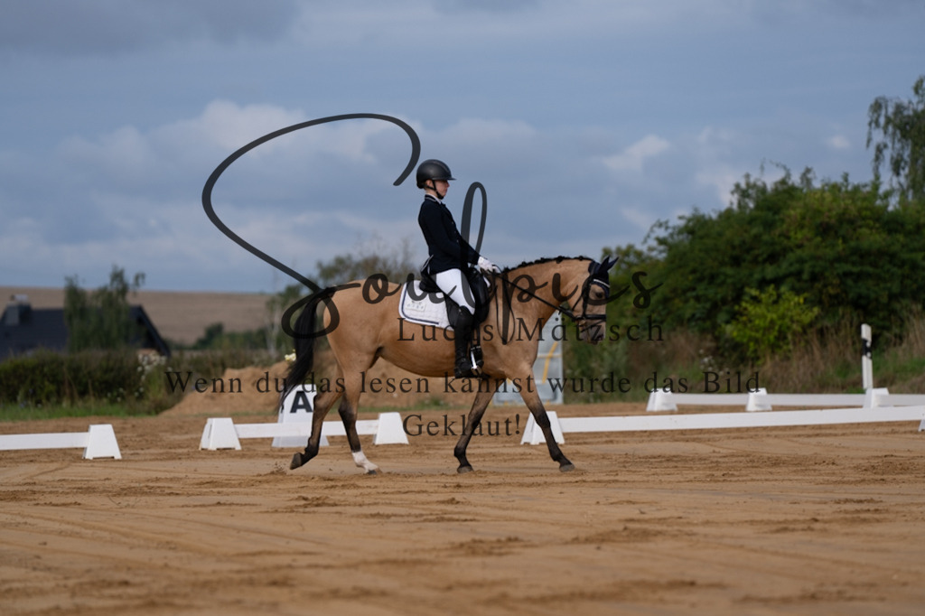 A7V05088 | Pferdefotograf