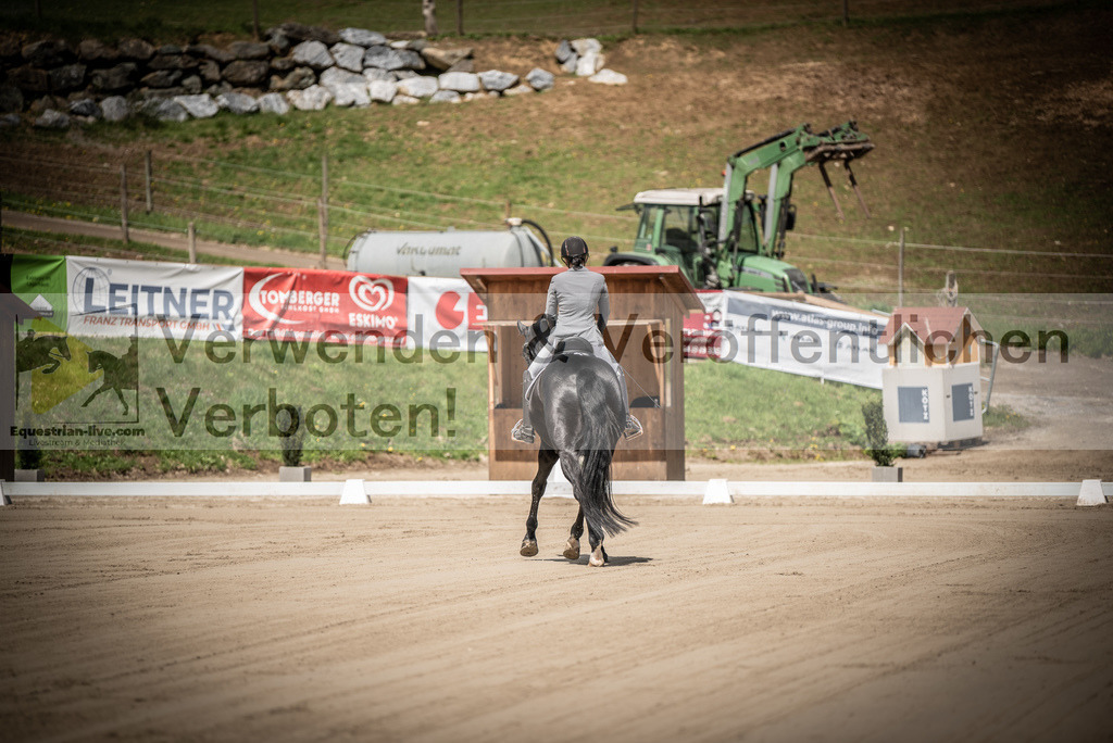 DSC_1334 | equestrian-live-com