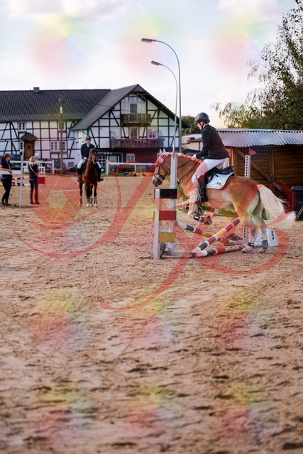 2026_10_03_Siefer-Hof_145517_Z81_35925669 | Professionelle Reitsport-, Turnier- und Eventfotografie von Robert Broda. Galerien mit ausgewählten und bearbeiteten Bildern direkt online ansehen und bestellen.