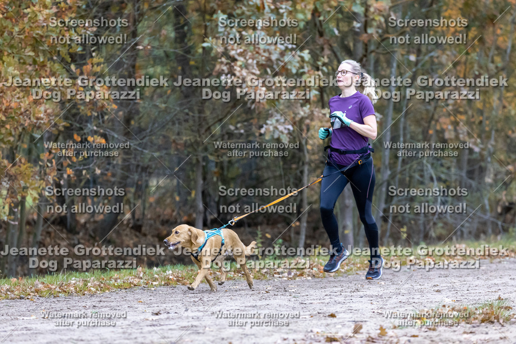 Dog Paparazzi - SD CaniX Championship 2025-357 | Dog Paparazzi Jeanette Grottendiek Fotografie & Videografie - Realisiert mit Pictrs.com