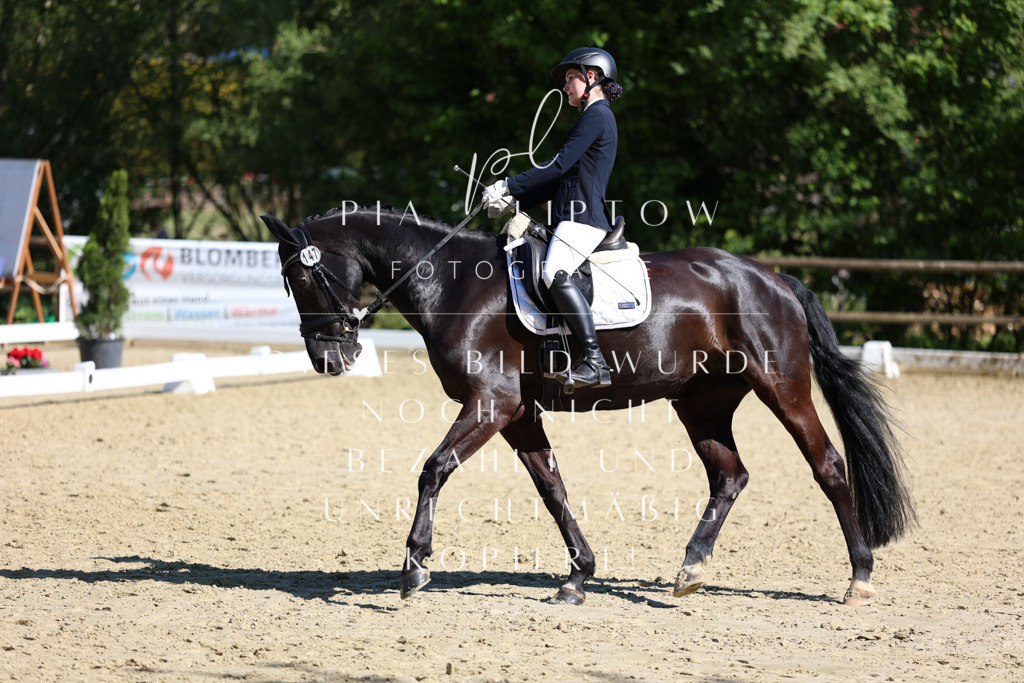 IMGT0445 | pl-fotografie