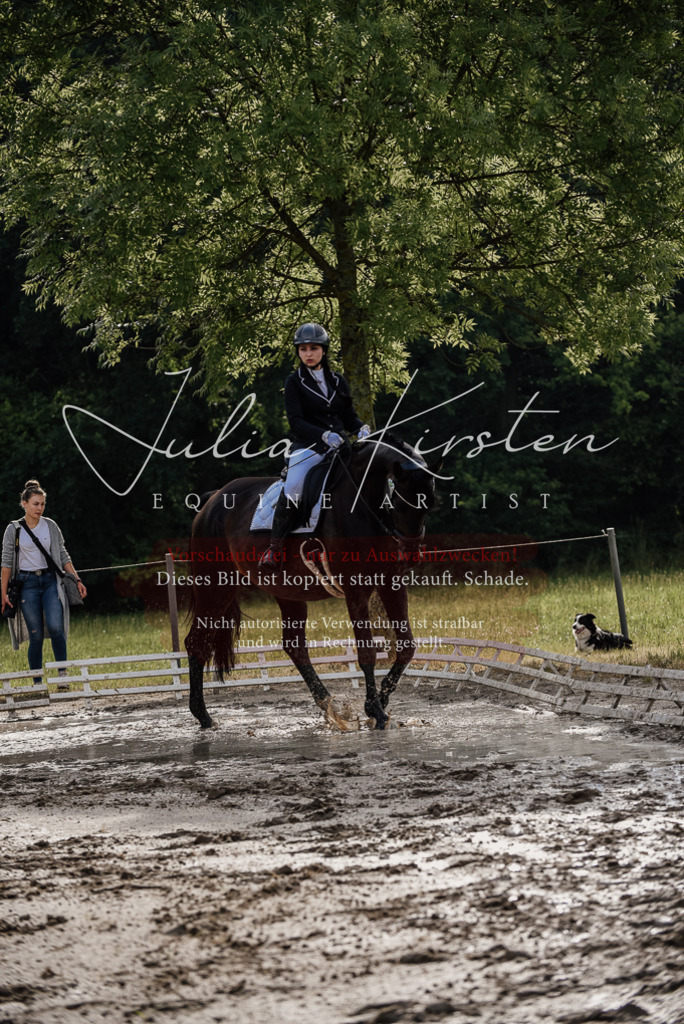 DSC_8551 | Pferde- und Turnierfotografie in Westsachsen. Pferdeportraits, Auftragszeichnungen und intuitive Kunst.