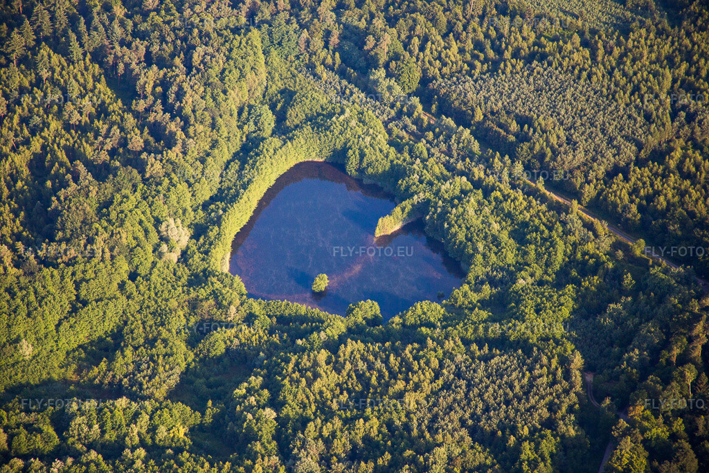 Vue aérienne: Étang dans la forêt à Rittershoffen dans le département Bas Rhin, France – .Photo: IMG_082915.jpg prise le 26/06/2015 par Werner Riehm/FLY-FOTO.eu – Résolution de l'original: 5472 x 3648 px