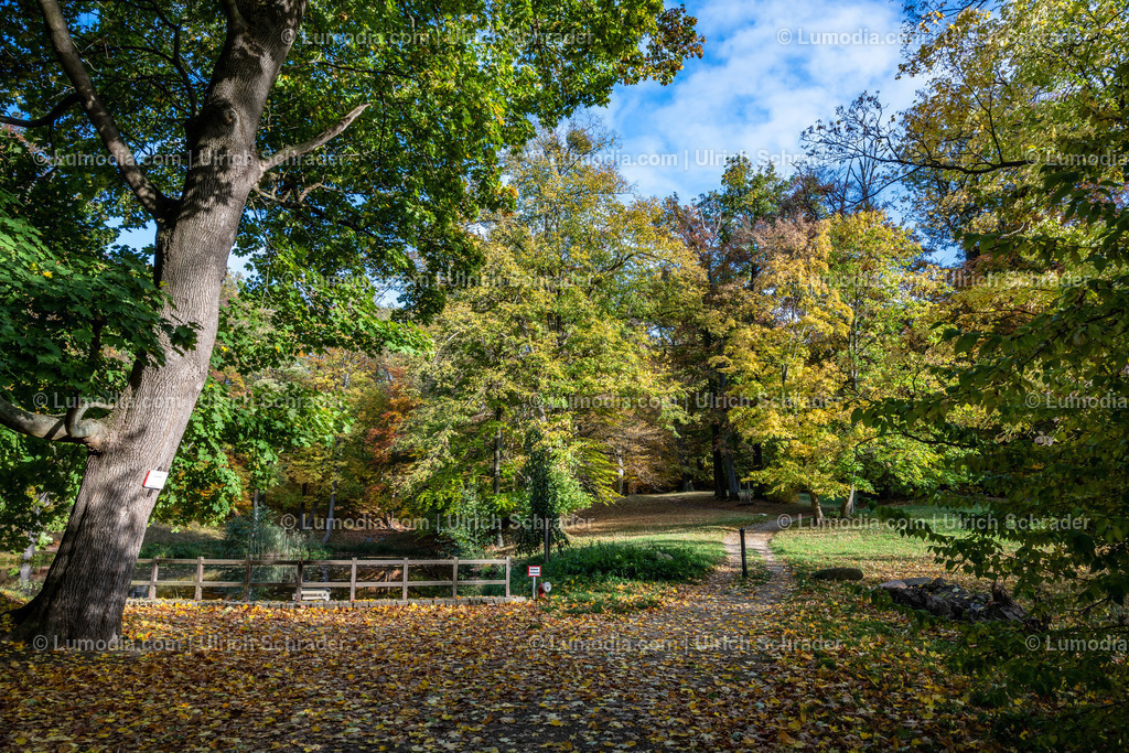 10049-12622 - Schloßpark Ilsenburg im Harz | Stockfoto und Bilderpool mit Bildmaterial aus Deutschland, dem Harz, Halberstadt, Quedlinburg, Wernigerode und weltweit. Qualitativ hochwertige und professionelle Fotos anschauen und kaufen. - Realisiert mit Pictrs.com
