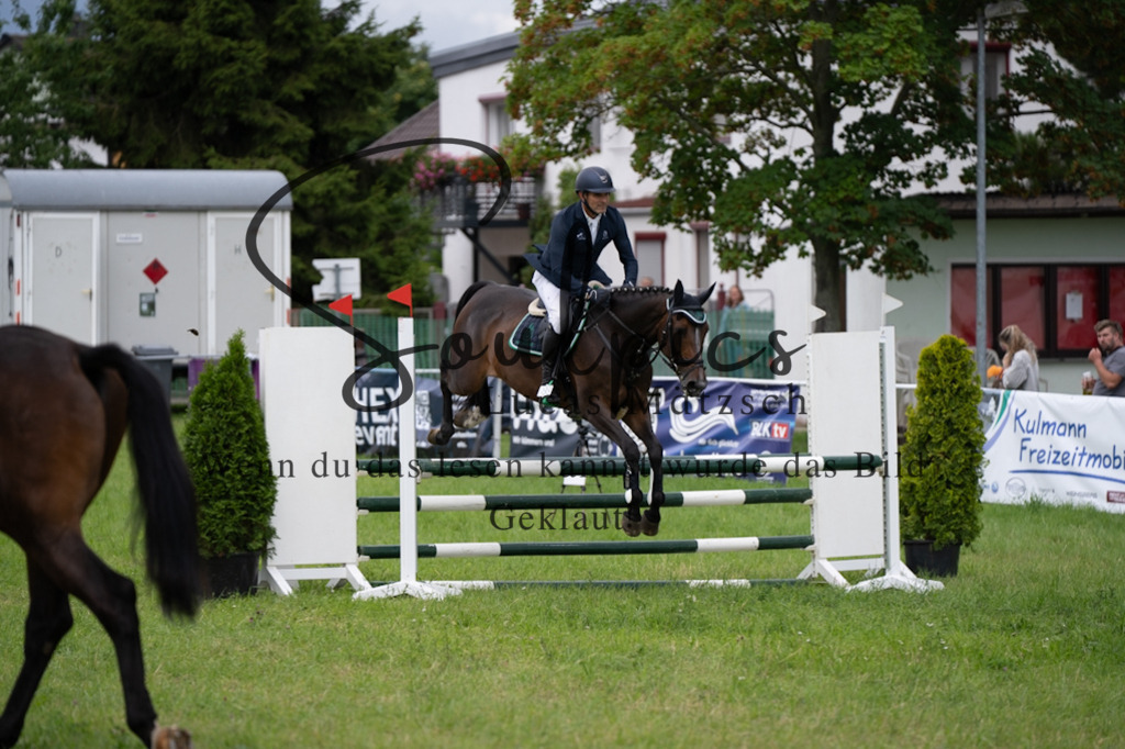 A7V03931 | Pferdefotograf