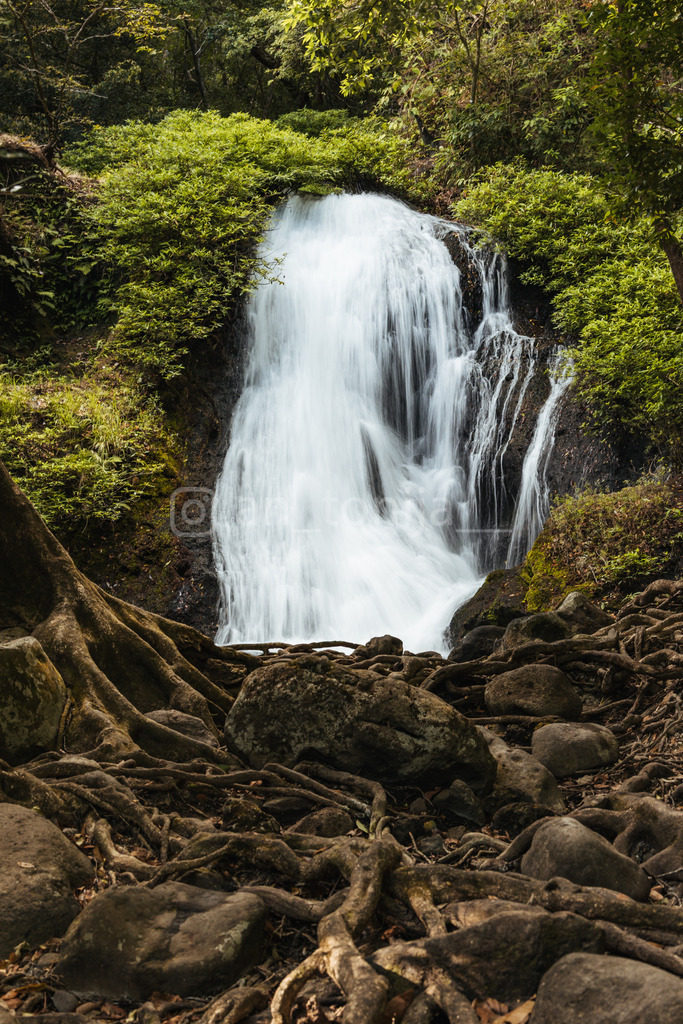 JB3A4026 | antonija-trupina - Realisiert mit Pictrs.com