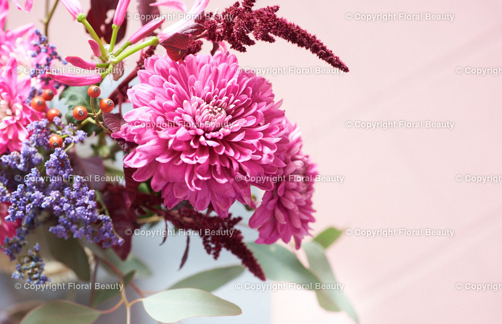 Nahaufnahme Dahlien und Chrysanthemen auf rosa Fliesen | Dahlien und Chrysanthemen in Glasvase von oben auf einem rosa gefliesten Fußboden, schön als Postkarte - Realized with Pictrs.com