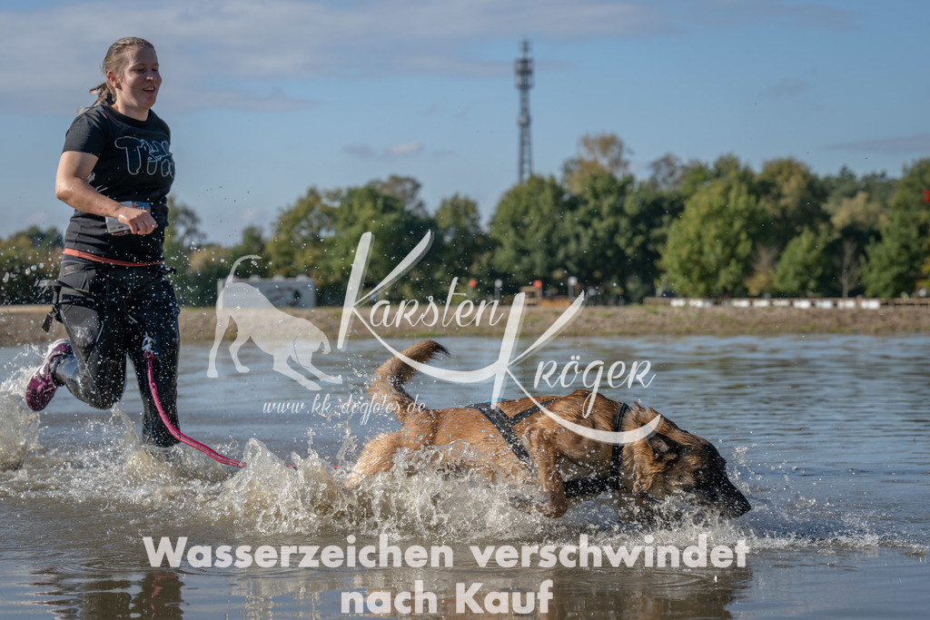 1335_ZZ91102 | kk-dogfotos
