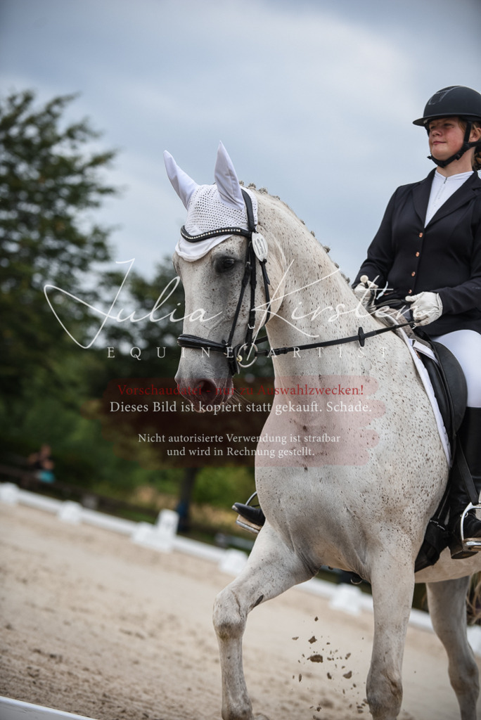 DSC_8478 | Pferde- und Turnierfotografie in Westsachsen. Pferdeportraits, Auftragszeichnungen und intuitive Kunst.