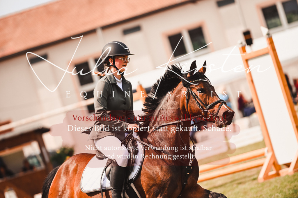 DSC_6911 | Pferde- und Turnierfotografie in Westsachsen. Pferdeportraits, Auftragszeichnungen und intuitive Kunst.