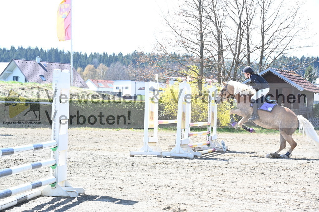 DSC_5358 | equestrian-live-com