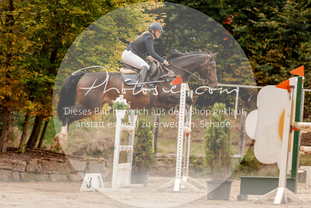 3I6A8067 | Stimmungsvolle Portraits und Reitsportfotografie im Ruhrgebiet und im Münsterland.

Pferdefotografie, Hundefotografie, Tierfotografie, Reportagen, Portraits von Tier und Mensch, Turnierfotografie in Bochum, Recklinghausen, Marl, Haltern am See, Dülmen.. - Realisiert mit Pictrs.com
