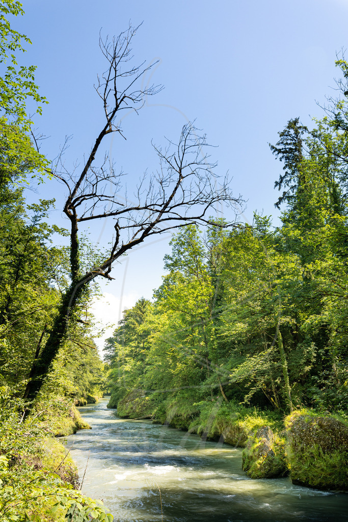 Erlaufschlucht Purgstall an der Erlauf | Bei Veröffentlichung des Bildes ist eine Namensnennung wie folgt erforderlich: 
Foto: Mostdirn Irmgard Wieser - Realisiert mit Pictrs.com