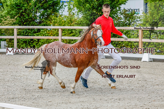 GK (184 von 759) | mandyhollmannphotographie