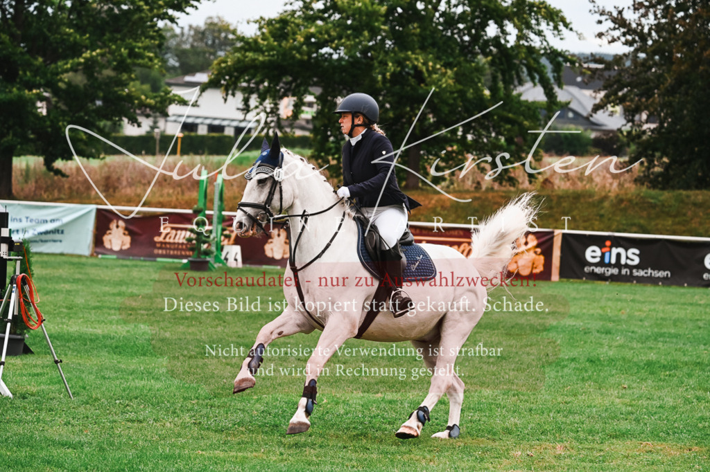 DSC_5940 | Pferde- und Turnierfotografie in Westsachsen. Pferdeportraits, Auftragszeichnungen und intuitive Kunst.