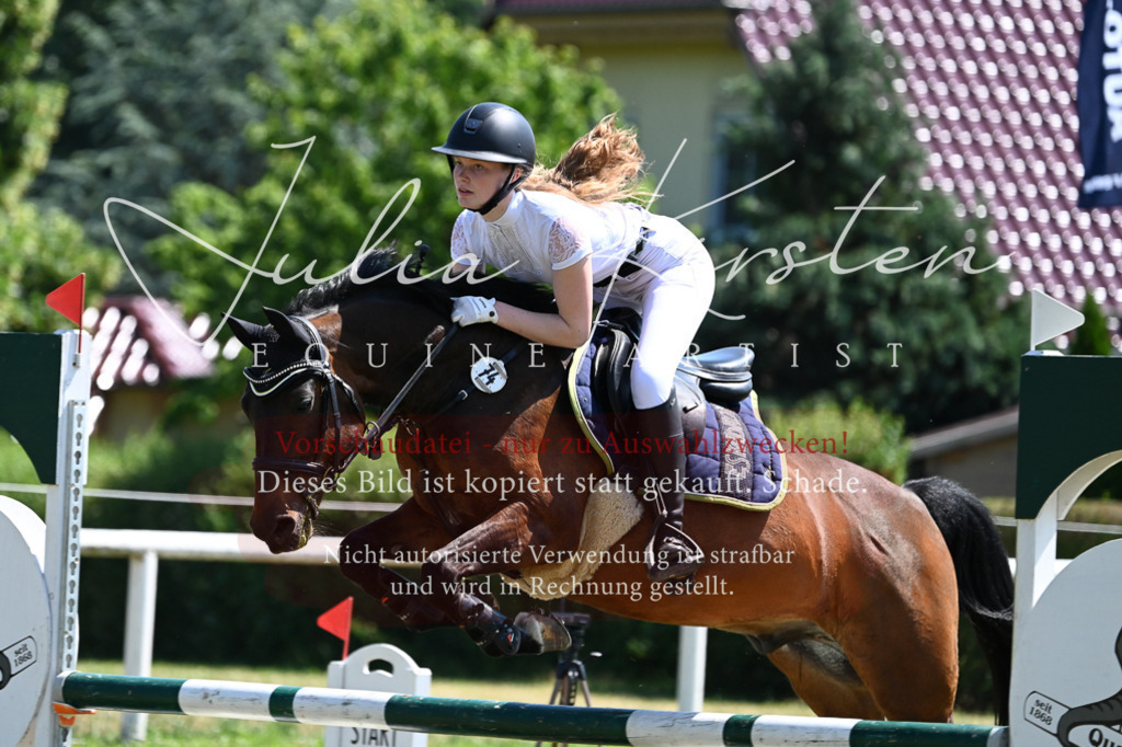 DSC_0789 | Pferde- und Turnierfotografie in Westsachsen. Pferdeportraits, Auftragszeichnungen und intuitive Kunst.
