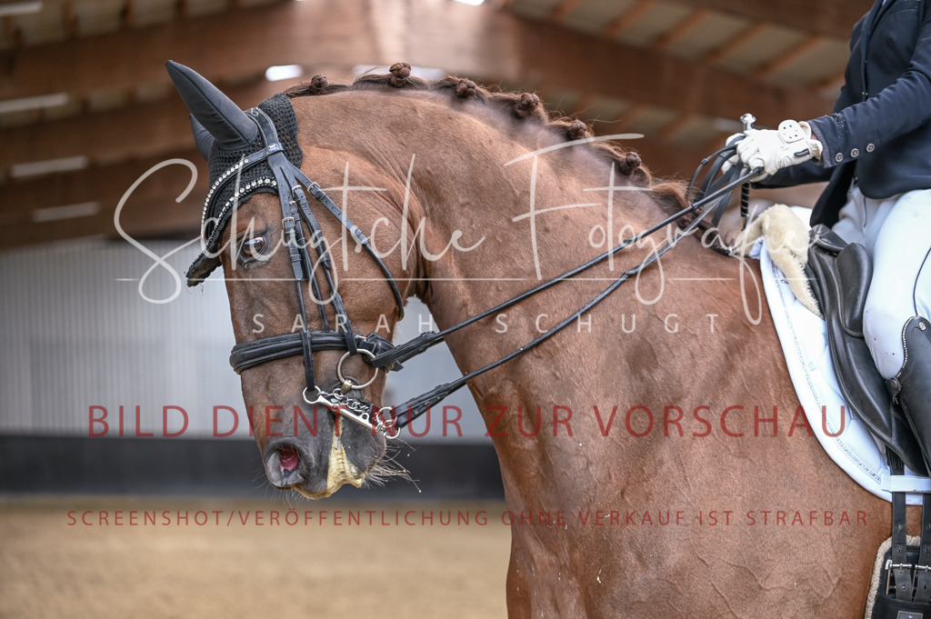 Schugtsche-Aluta25-57.Dressurprf.M1Kand-305 | Schugtsche Fotografie - Realisiert mit Pictrs.com