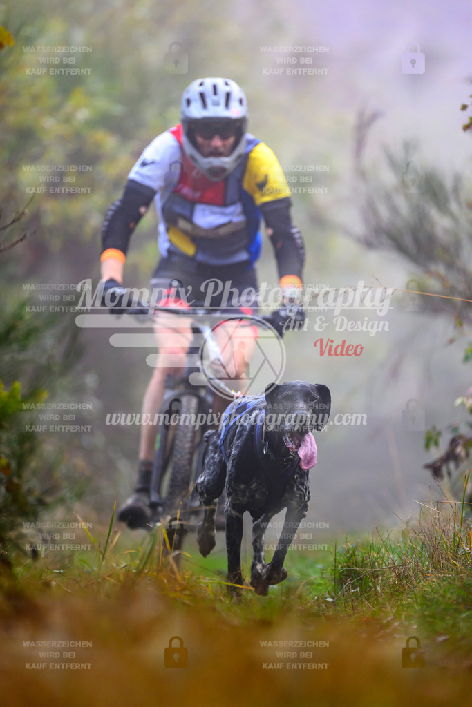 MompixPhotography_20TSB_E4_Bike-60 | PayLife