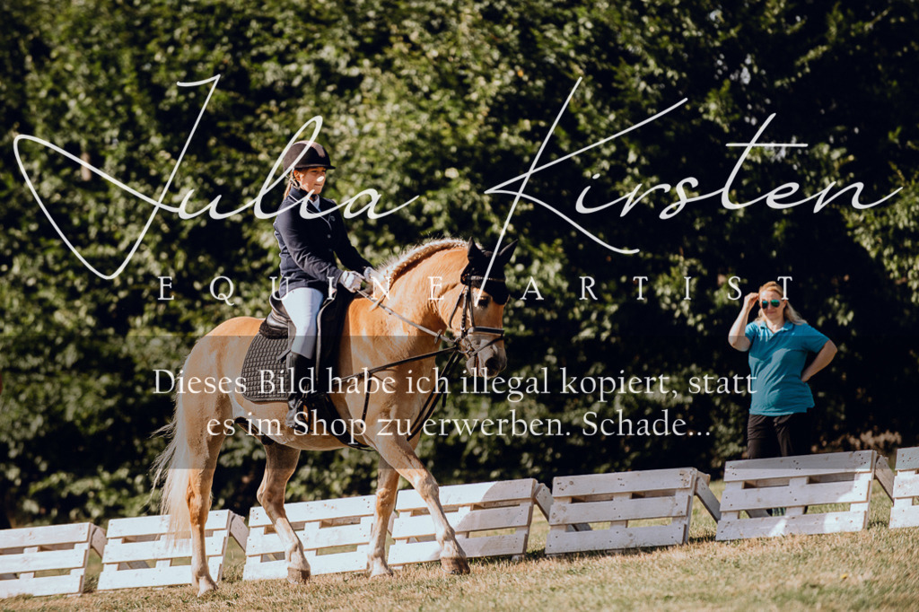 DSC_6957 | Pferde- und Turnierfotografie in Westsachsen. Pferdeportraits, Auftragszeichnungen und intuitive Kunst.