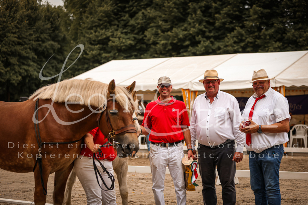 SaHF00115 | Leoni Ertmer Photography - Realisiert mit Pictrs.com